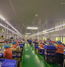 PRODUCTION WORKSHOP